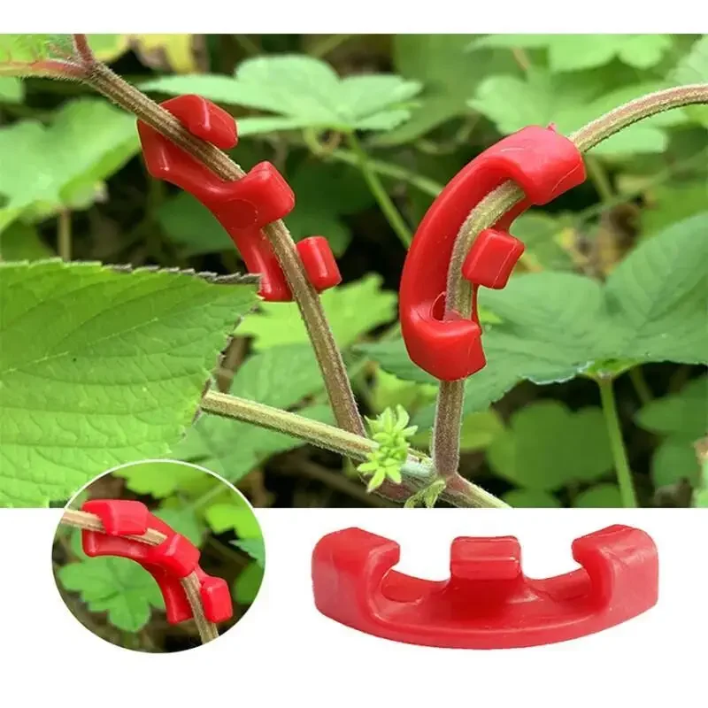 10-100 Peças de Clipes para Do - Plant Parent Tools avaliação e preço