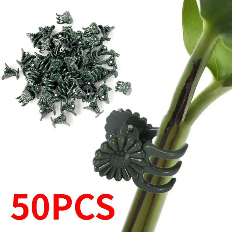 50 Peças de Clipes para Planta - Plant Parent Tools avaliação e preço