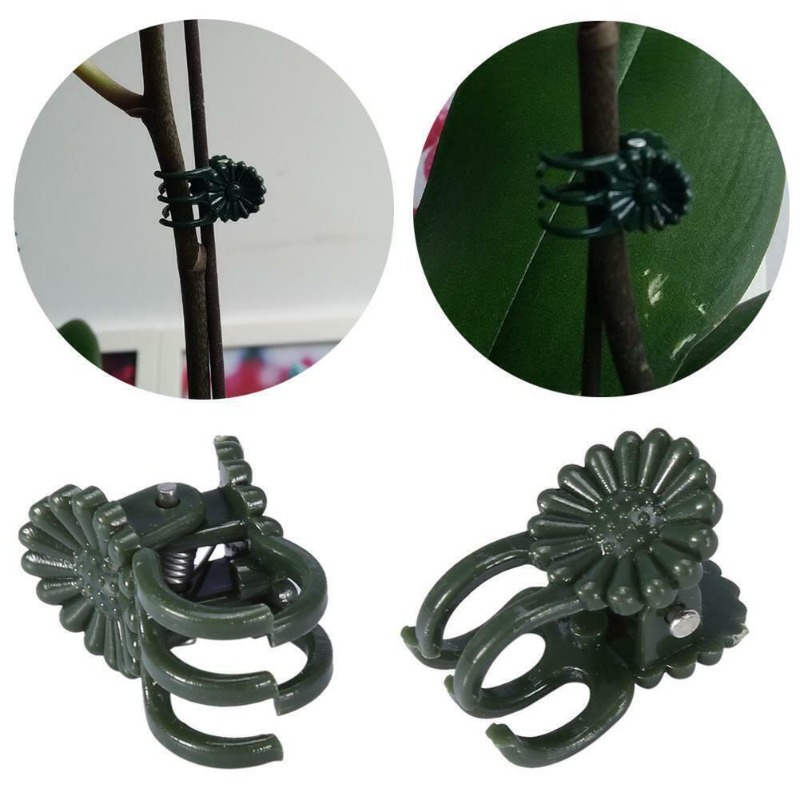 50 Peças de Clipes para Planta - Plant Parent Tools avaliação e preço