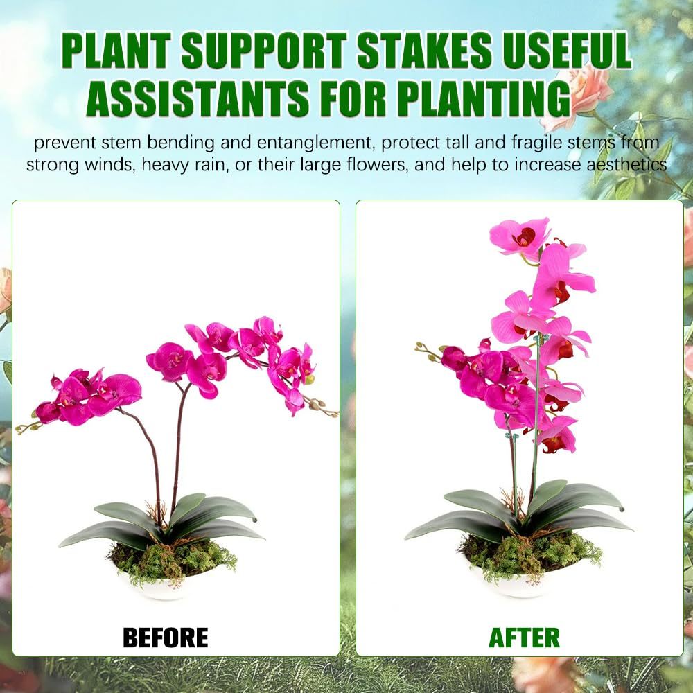 5/10 pçs planta suporta suport - Plant Parent Tools avaliação e preço