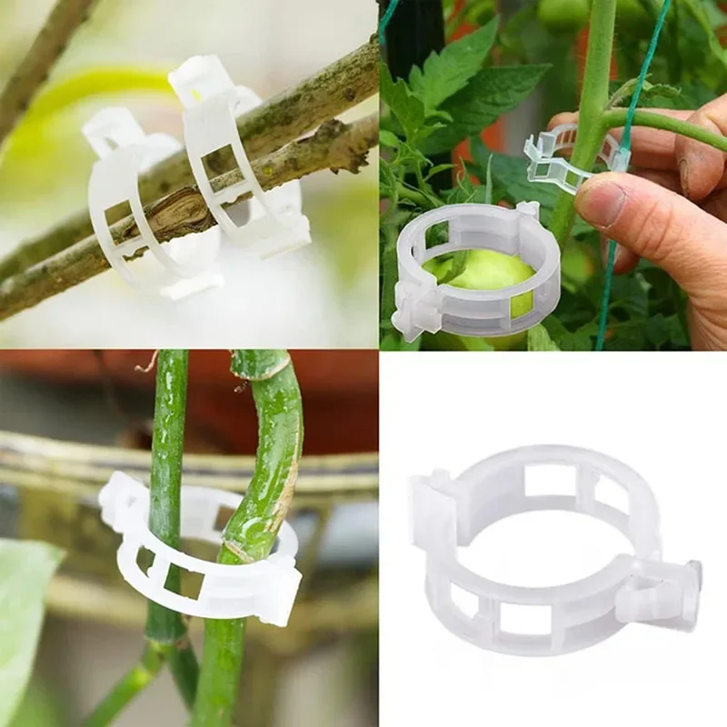 100 pçs clipes de fixação de p - Plant Parent Tools avaliação e preço