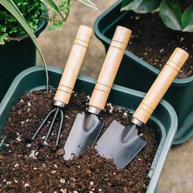 3pc/1 conjunto mini conjunto d - Plant Parent Tools avaliação e preço