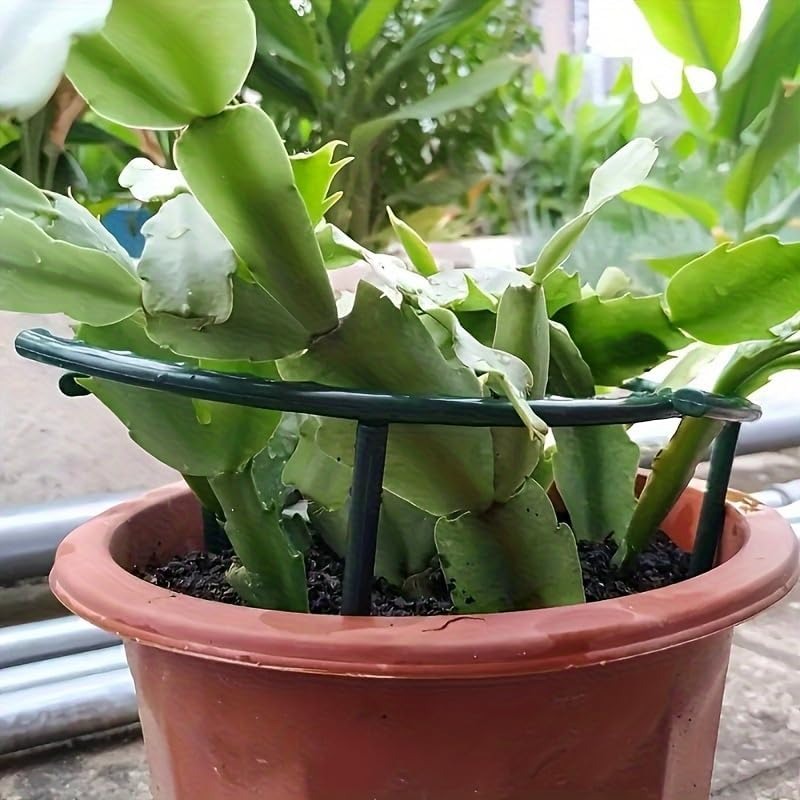 30-1 Peças Suporte de Plástico - Plant Parent Tools avaliação e preço
