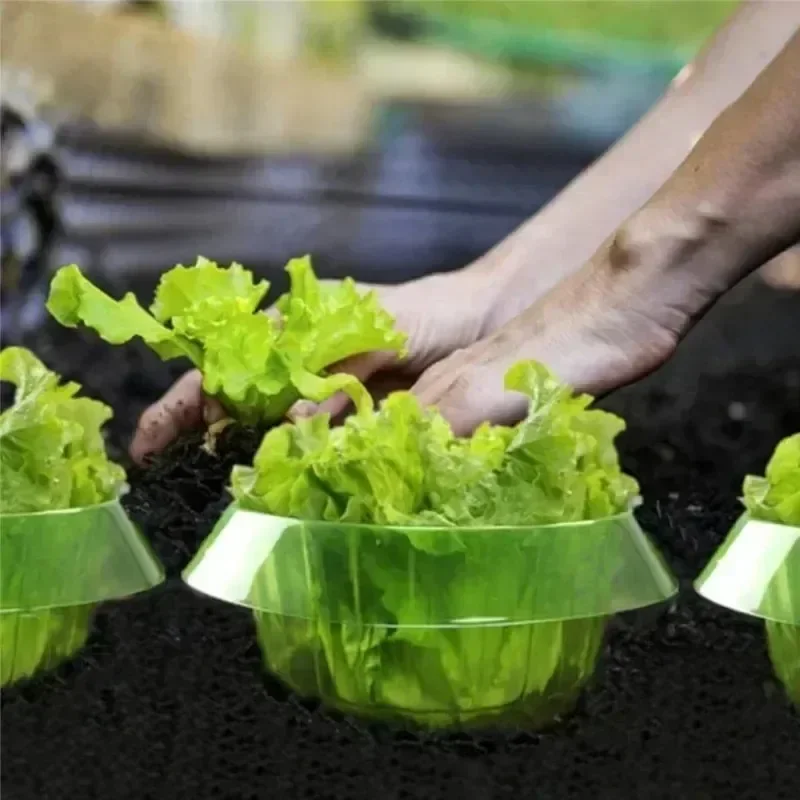Plantas slug proteção anéis le - Plant Parent Tools avaliação e preço