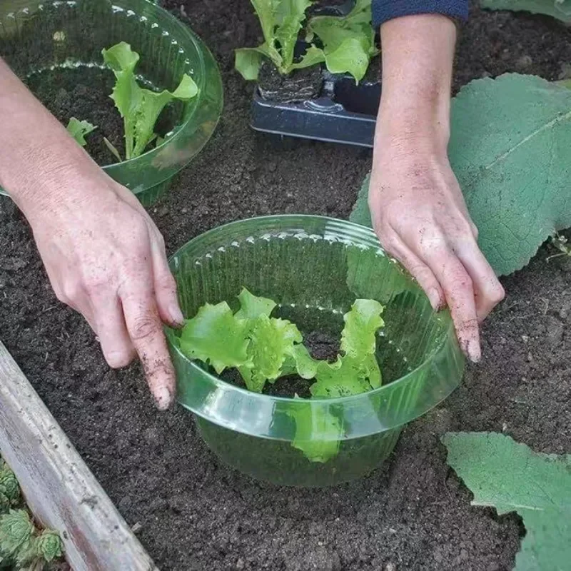 Plantas slug proteção anéis le - Plant Parent Tools avaliação e preço