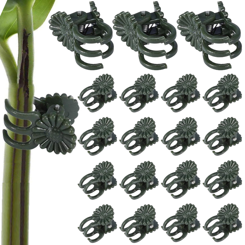 Plant Clips para Enxerto, Vine - Plant Parent Tools avaliação e preço