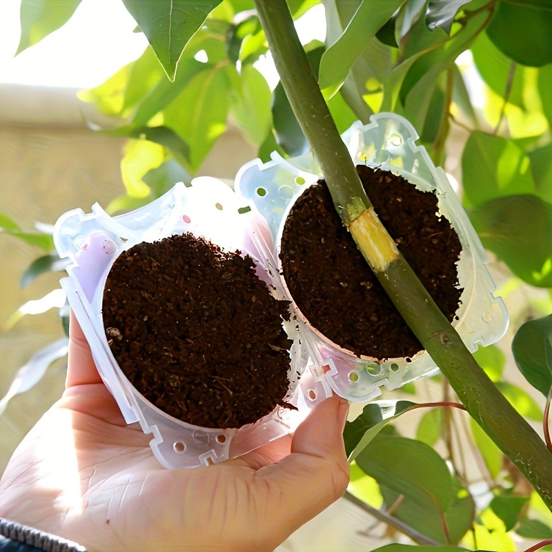 Kit de 10 Peças para Propagaçã - Plant Parent Tools avaliação e preço